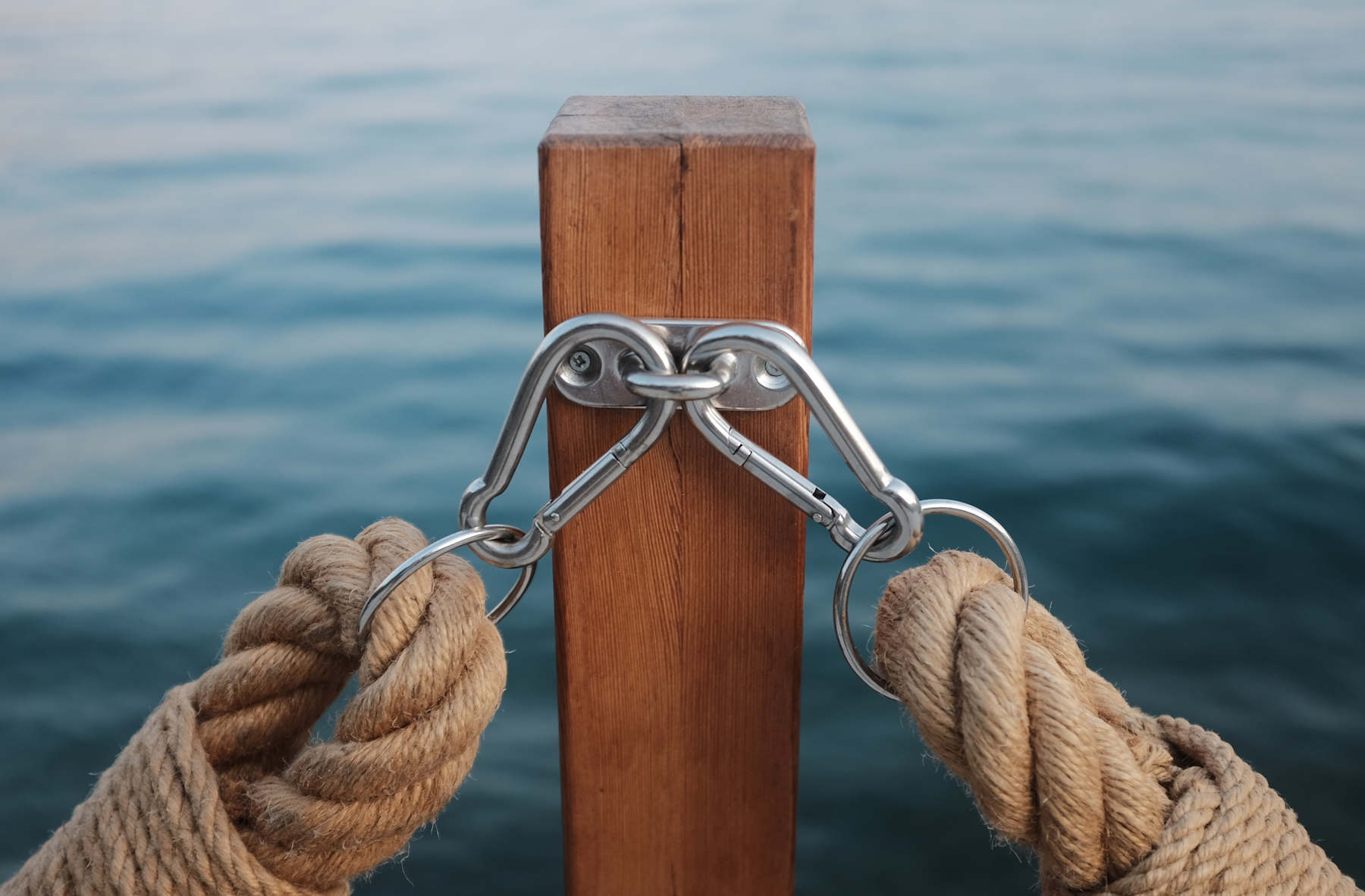 How to Use Survey Web Hooks to Meet Your Business Goals